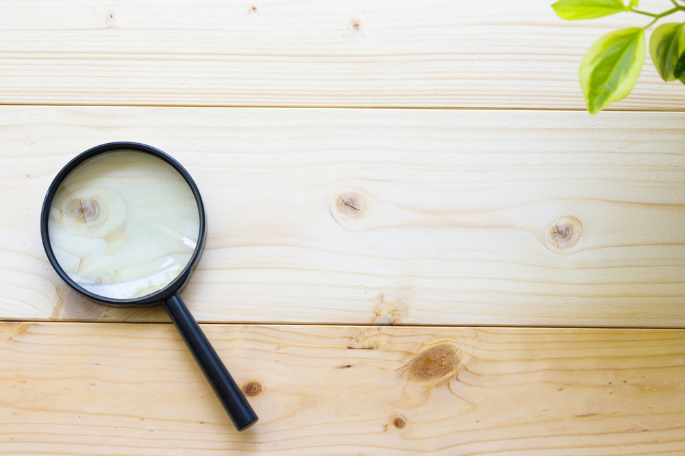 徳島で腕が良い弁護士に相談したい！交通事故の裁判で勝つために必要な証拠